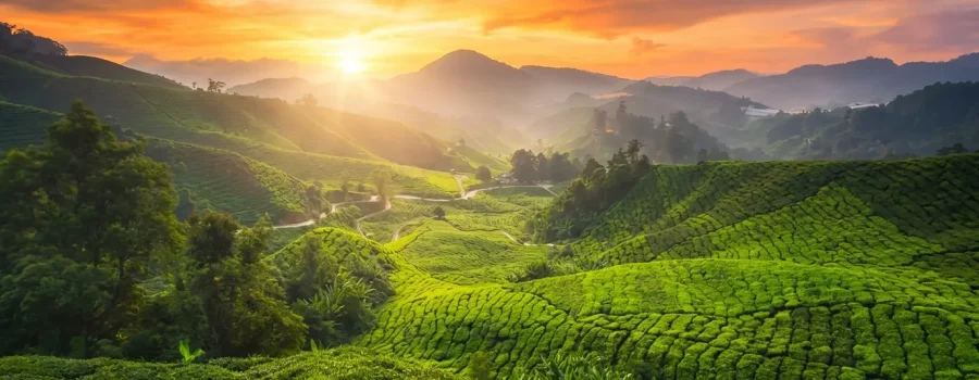Pearls of Andaman Tour